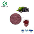https://www.bossgoo.com/product-detail/blackberry-juice-powder-for-superfood-62858600.html